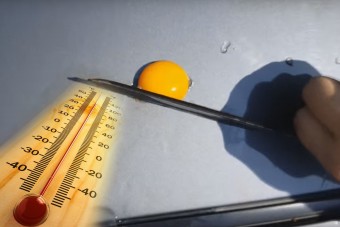 Tojást ütöttünk a tűző napon álló autóra, vajon sikerül a bajnokok reggelije?