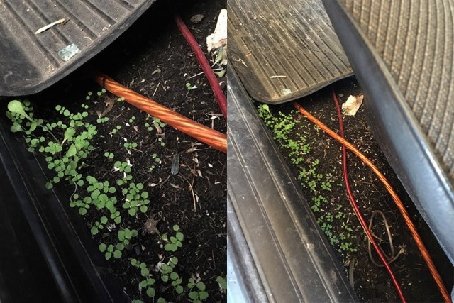 16 erős fotó a műhelyek könnyfakasztó poklából 8