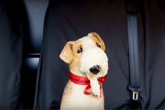 Ha ez nem győz meg, hogy ne hagyj gyereket, kutyát, szobanövényt vagy csokit a forró autóban, akkor semmi