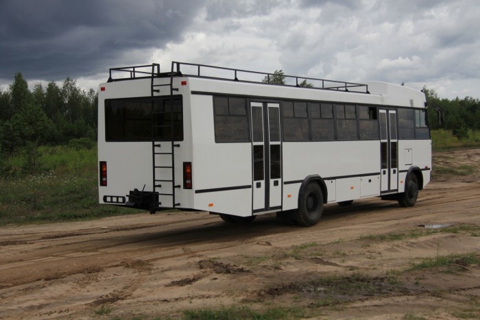 Ez az autóbusz oroszlánok és antilopok között érzi magát otthon 1