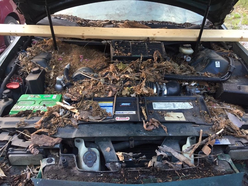 14 őrült fotó mutatja meg az autószervizek poklát 11