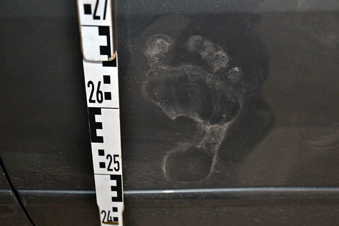 Elkapták a győri parkolóházi fantomot