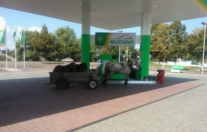 29 vicces, váratlan, őrült benzinkúton készült fotó 28