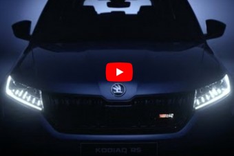 Vérengző medve Csehországból