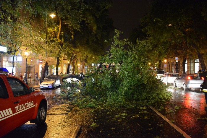 Nagy károkat okozott a szombati vihar Budapesten 5