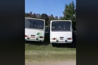 Több mint száz busz rohad Pécs határában