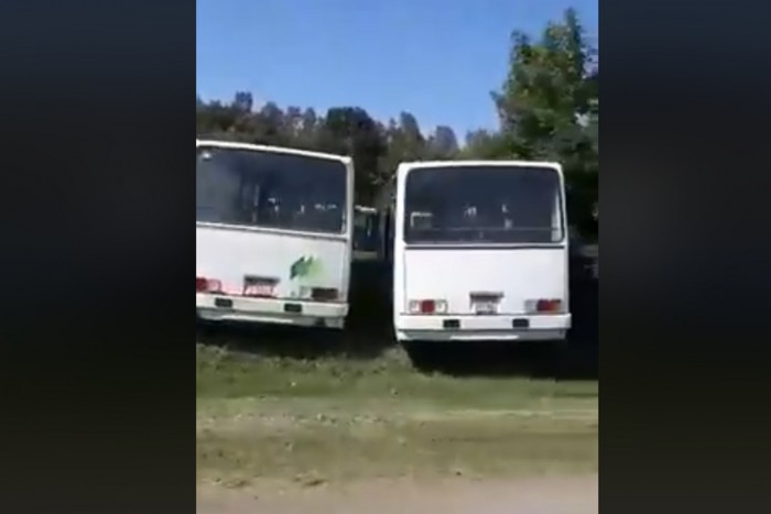 Több mint száz busz rohad Pécs határában