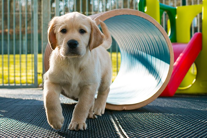 Látássérülteknek biztosít mobilitási megoldást a Toyota 1 | Vezess Látássérülteknek biztosít mobilitási megoldást a Toyota 1