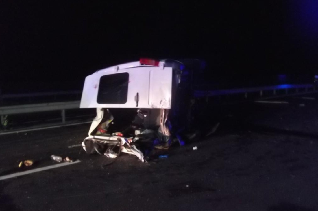 cats | Vezess | Vezess