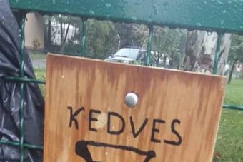 Sári néni üzent a köcsögöknek