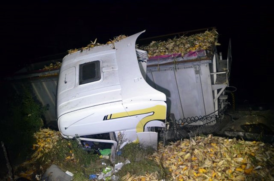 n4099387 | Vezess | Vezess