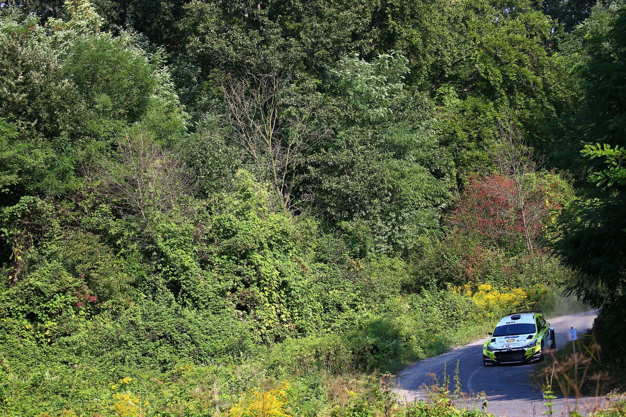 Hazai győzelem, villanyoszlop-rekonstrukció és doppingellenőrzés az Ózd-Salgó Rallye-n 7