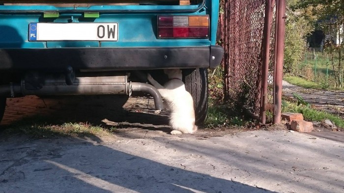Még 13 poénos fotó a legdurvább kendácsolásokról 4 Még 13 poénos fotó a legdurvább kendácsolásokról 4