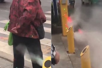 Zseniális de kegyetlen zebra menti meg a mobilozó zombik életét