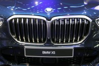 Videón a G05-ös BMW X5, a domináns hím 25