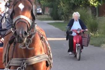 Ahogy Jucika néni körbeautózta a lovaskocsit, arra csak Palik Laci tudott reagálni