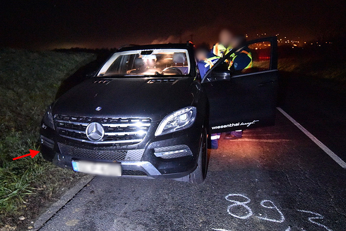 Kiszállt a Merciből őzet keresni Kőszegnél, belehalt