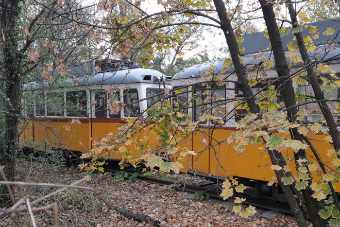 Kitömött járgányok az út mellett 6
