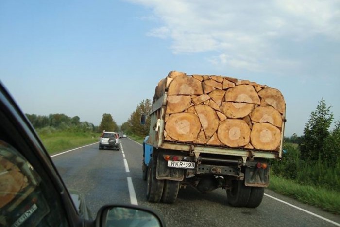 Itt vannak a közúti szállítás fekete öves mesterei 3 Itt vannak a közúti szállítás fekete öves mesterei 3