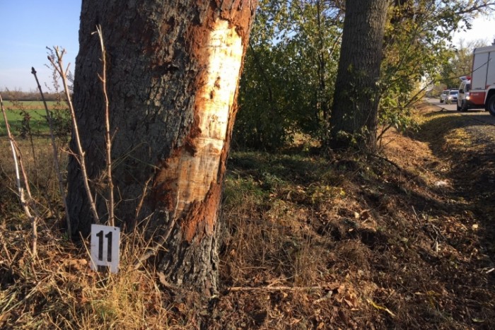 Halálos baleset történt Pusztaszabolcs mellett 1