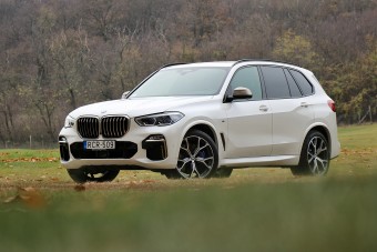 Szimpatikus nem leszel vele, de imádni fogod