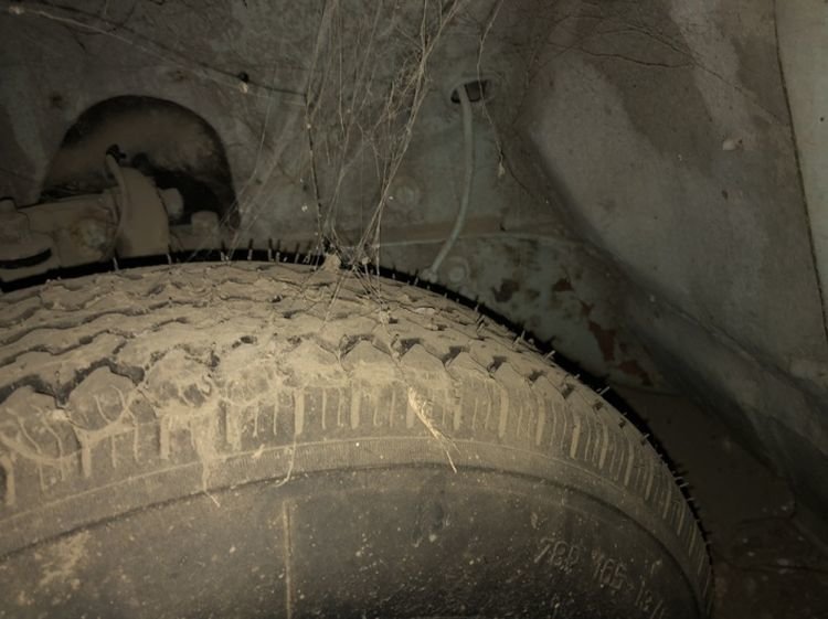 25 éve érintetlenül álló veteránt húztak ki egy elhagyott garázsból 10