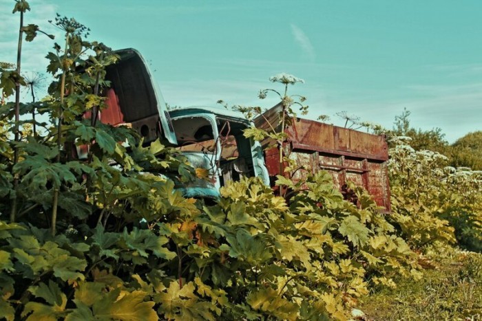 17 képen az elmúlás, a földdel lassan eggyé váló, elhagyott ZIL-ekkel 8