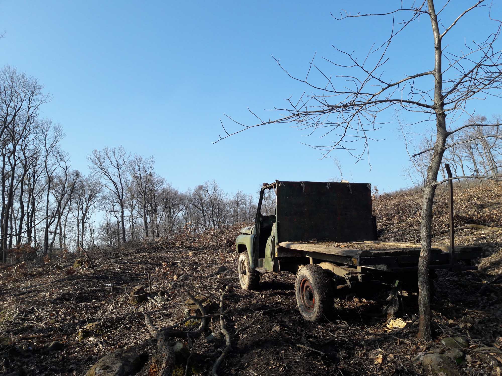 Elpusztíthatatlan orosz igáslovat fotóztunk a Pilisben 2