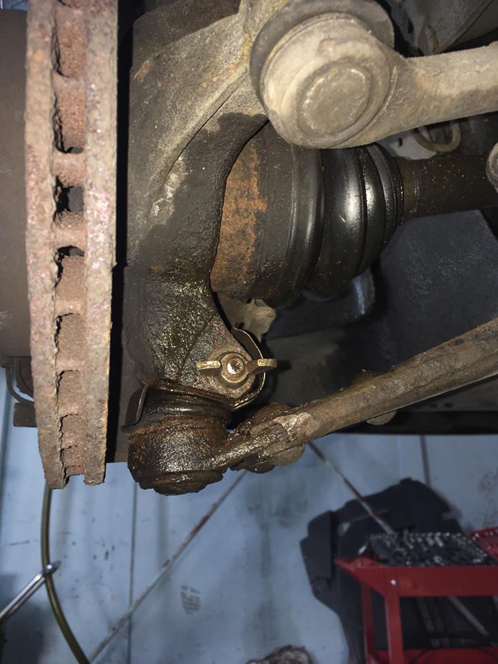 12 friss sírva röhögős fotó a műhelyek poklából 5