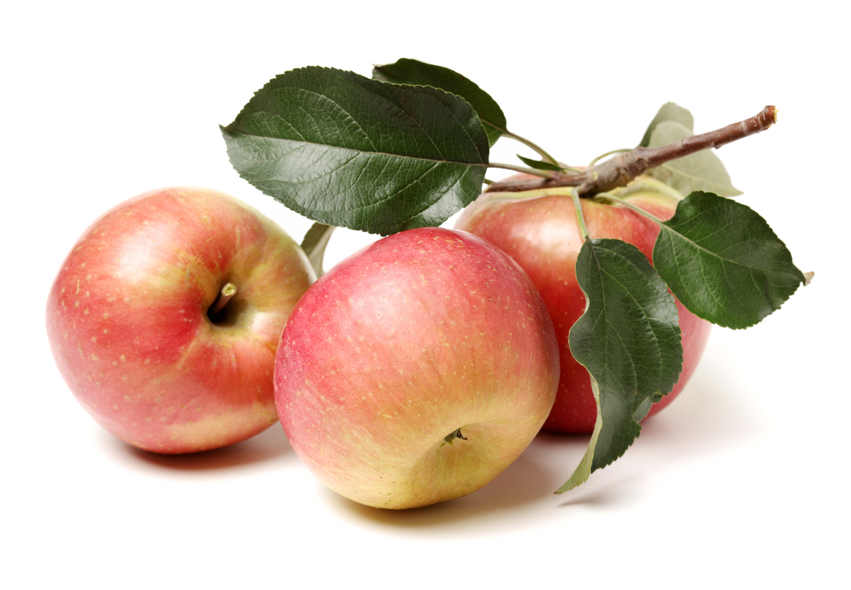 5 étel, amit következmények nélkül ehetsz utazás közben 1 | Vezess 5 étel, amit következmények nélkül ehetsz utazás közben 1