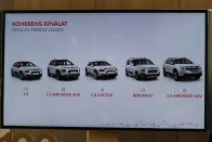 Kategóriarobbantó családi csodával ünnepli századik szülinapját a Citroën 32