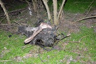 Megrázó fotókon a zsámboki halálos baleset 10