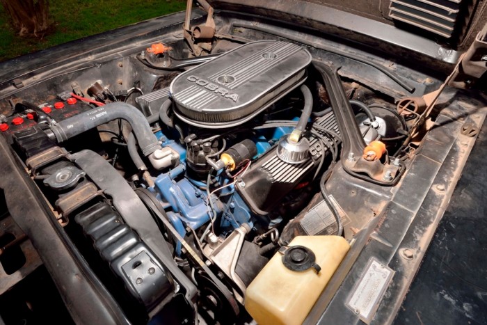 Pajtában találták meg ezt az 50 éves Shelby Mustangot 7