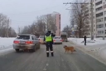Amit ez a rendőr csinált a bicegő kutyussal, attól könnybe lábad a szemed