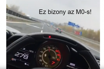 Már megint száguldó állatok verettek keményen az M0-son