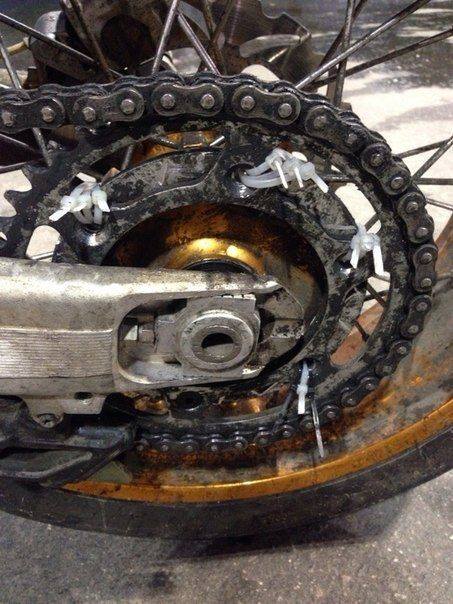 16 friss sírva röhögős fotó a műhelypokolból 4