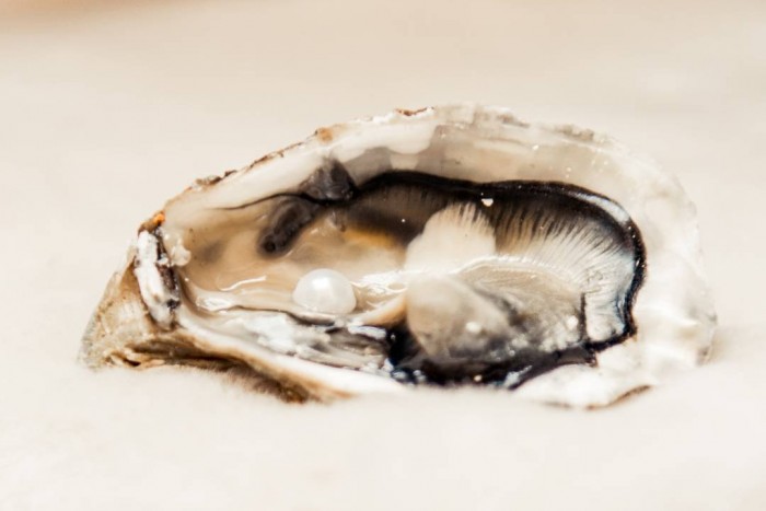 Gyöngyhalászok ihlették ezt a Bentley Bentaygát 7 | Vezess Gyöngyhalászok ihlették ezt a Bentley Bentaygát 7