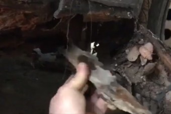 Leleplező videó egy hazai használt autós átverésről