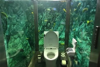 Ezen a WC-n nem nyomkodnád a telefonod