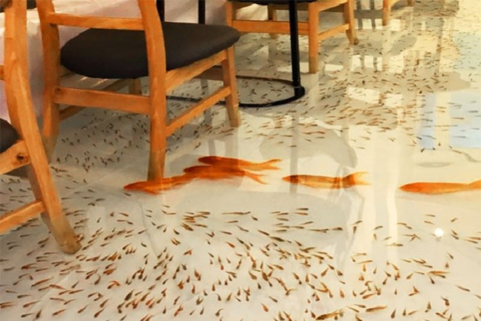 Ha félsz a halaktól, ez a kávézó nem lesz a kedvenced