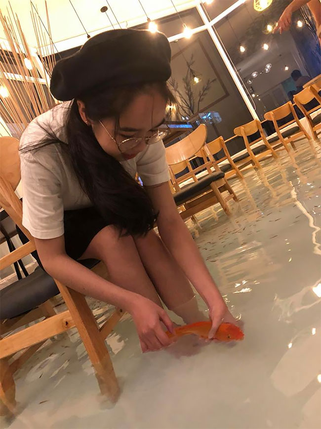 Ha félsz a halaktól, ez a kávézó nem lesz a kedvenced 4