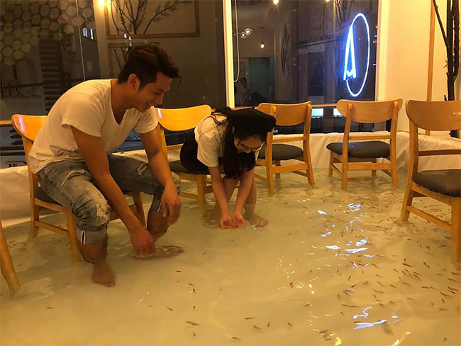 Ha félsz a halaktól, ez a kávézó nem lesz a kedvenced 5