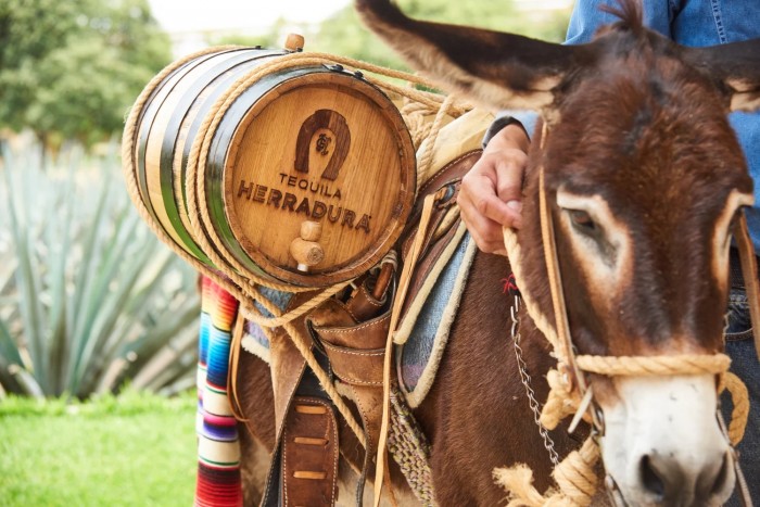 Erről a vonatról még nem sokan szálltak le józanul 4