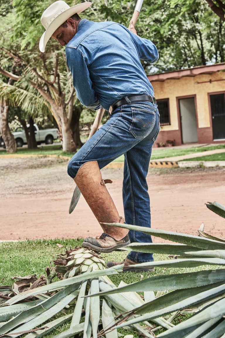 Erről a vonatról még nem sokan szálltak le józanul 3