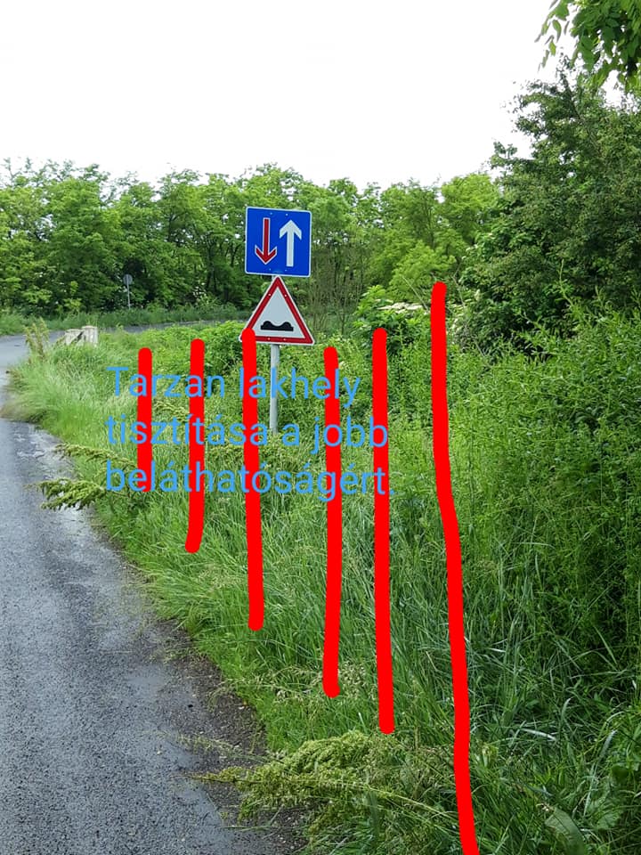 Kiakadt a magyar autós a rossz út miatt, lefotózott mindent 6