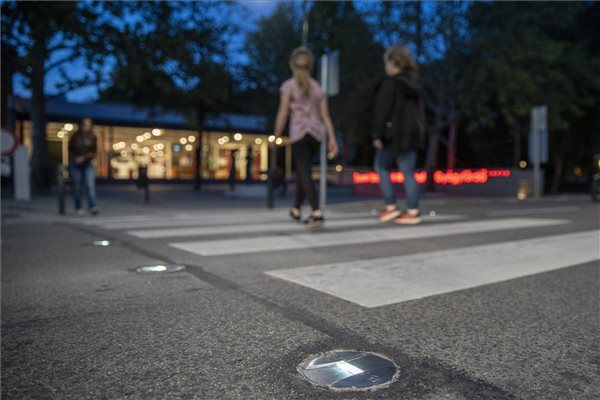 A mórahalmi okoszebrát láttad már? 2 | Vezess A mórahalmi okoszebrát láttad már? 2