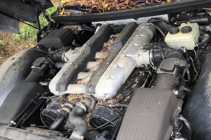 Megmenekül az elhagyott Ferrari-gyűjtemény 7