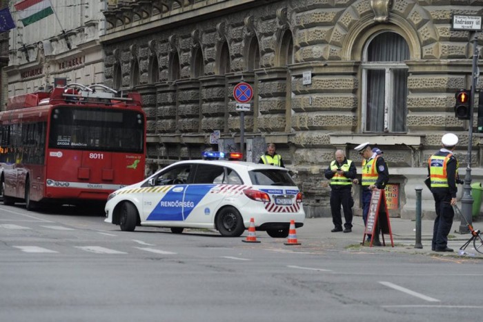 Meghalt a bokorból váratlanul előugró néni 1 Meghalt a bokorból váratlanul előugró néni 1