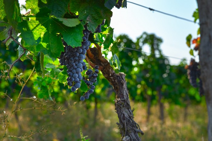 Három lenyűgöző helyszín, amit még elkerült a turistadömping 1