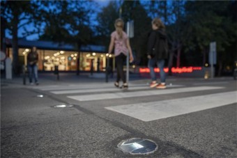 A mórahalmi okoszebrát láttad már?